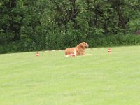 Bendix und das Boxband (59)